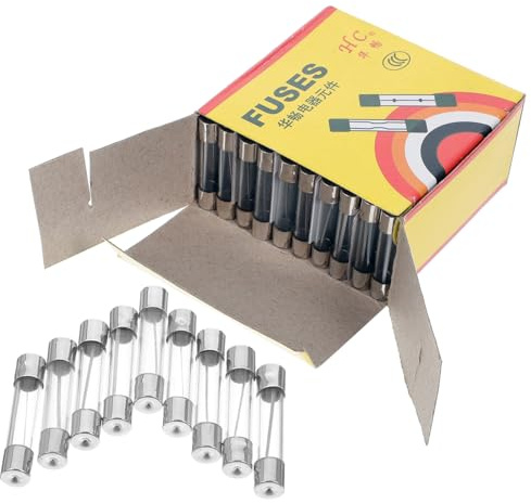 NUOBESTY Glass Fuse Tube Kit Glass Tube Silver 100pcs Microwave 20a 250v Good Conductive Effect and Sealing for Microwave Oven Appliances