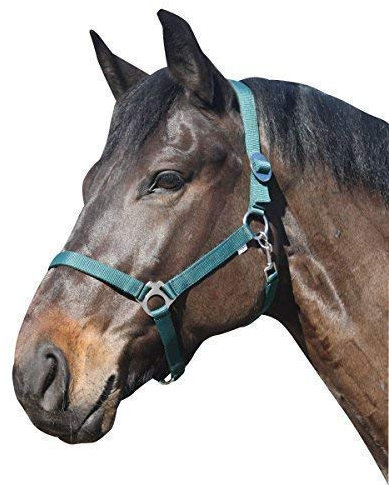 Eldorado Halfter Standard - grün - Vollblut