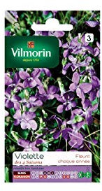 Vilmorin - Sachet graines Violette 4 saisons odorante