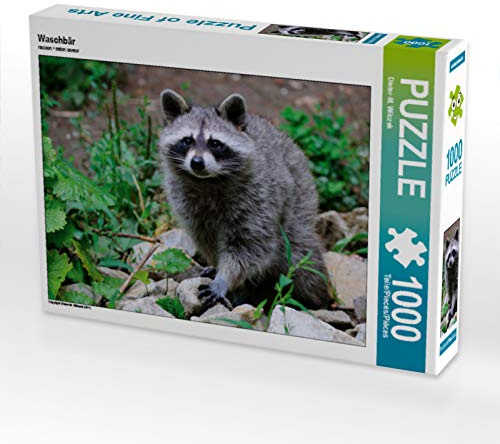 CALVENDO Puzzle Waschbär | 1000 Teile Lege-Größe 64 x 48 cm Foto-Puzzle für glückliche Stunden
