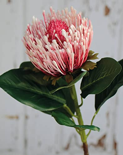 artplants.de Kunst Protea Tanja, rosa-pink, 65cm, Ø10cm - Künstliche Protea