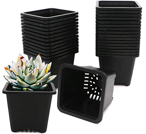 GGOUPTY Vasi quadrati in plastica, 10 cm, 30 pezzi, per piante grasse, per piantine di fiori