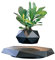 INOVAXION Schwebende schwimmende Pflanze und Blumentopf, magnetisch, schwebende Pflanzgefäß, schwebende Dekoration und Display für Zuhause und Büro, einzigartiges Tech-Geschenk und Spielzeug