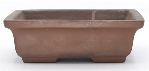 Maceta para Bonsái Colección de Colores Surtidos Perfecta para tu Bonsái - 15cm de largo y 10cm de ancho