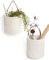 Rope Hanging Basket 2pack, Storage Basket, Small Woven Fern Hanging Rope Basket Flower Plants Wall Basket Decor Set Boho, Rope Basket Key Storage Basket, White, 17 x 17 x 30 cm