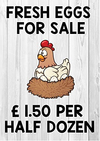 Custom Personalised Eggs For Sale Sign Metal sign advertising garage sign, beer garden, homebrew, beer, stout Irish (Large A4 (200x280mm)) (Large A4 (200x280mm))