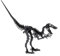 Fridolin 11644 3D-Papiermodell - Velociraptor