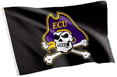 Desert Cactus ECU East Carolina University Flagge Piraten, 100 % Polyester, für drinnen und draußen, 91 x 152 cm (Flagge A)