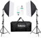 Kit Softbox Eclairage Photo Studio avec 2x150W 5500K Ampoule Lumière du Jour, Support d'Eclairage, Softbox, Sac Trépieds pour Portrait Produit Tournage Vidéo Youtube