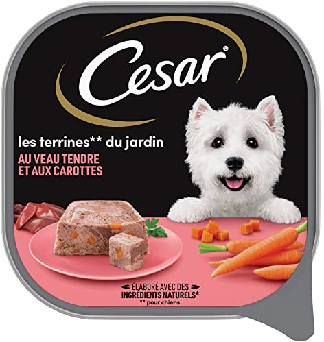 Cesar Calf Terrine for Dogs 300 g