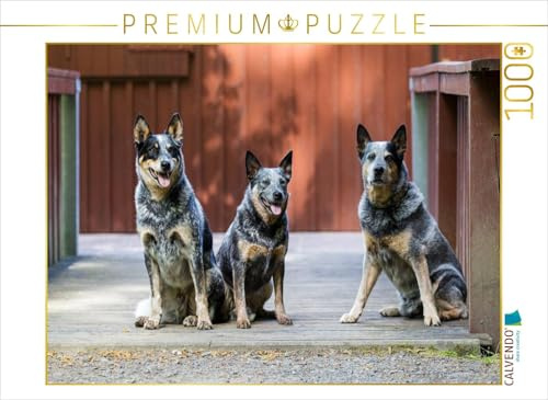 CALVENDO Puzzle EIN Motiv aus dem Kalender Spaziergang am See Australian Cattle Dogs | 1000 Teile Lege-Größe 64 x 48 cm Foto-Puzzle für glückliche Stunden