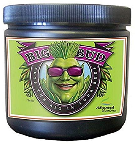 Advanced Nährstoffe Big Bud Dünger, Braun/A
