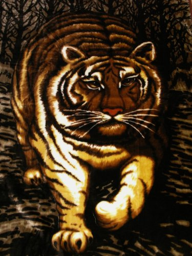 Natur-Fell-Shop Kuscheldecke Tagesdecke Decke Motiv Tiger 160x200cm