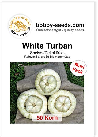 White Turban Bischofsmütze Kürbissamen von Bobby-Seeds, 50 Korn