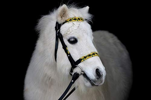 Western Trense Zaum Kopfstück Westerntrense Joe Minishetty Mini Shetty Leder Tysons (Minishetty)