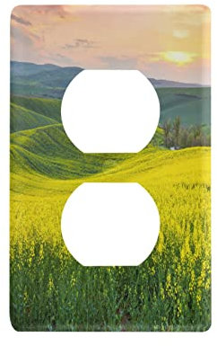 Fields Sunrise Duplex Outlets Lichtschalter-Abdeckung, dekorative Wandplatte für Heimschalter, 11,5 x 7 cm