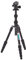 3 Legged Thing Punks Corey 2.0 Ultra Compact Travel Tripod with Airhed Neo 2.0 (RG-JFFA-G4Y9) (Darkness)