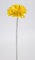 12 Stück Gerbera 46cm OG Kunstblumen künstliche Gerbera Blumen Seidenblumen (Gelb)