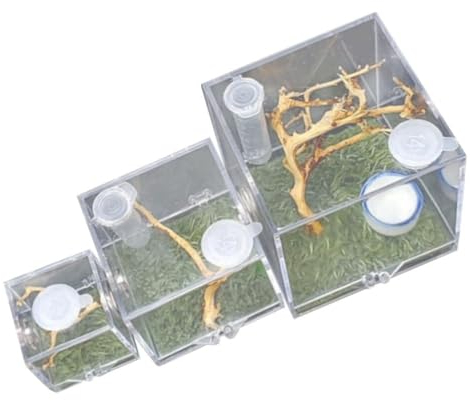 Insekten-lebensraum-gehäuse Spinnen-gehäuse-Box Für Zuhause Oder Das Büro Atemlöcher