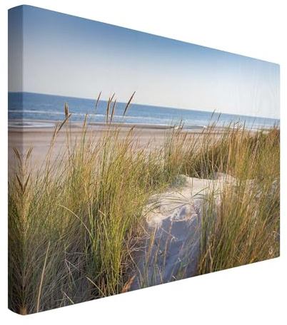 micasia Akustikbild Strand Meer Natur Schallschutzbild 4cm Keilrahmen & Schallabsorber - Düne Modern beige Wohnzimmer Schlafzimmer Bild für bessere Raumakustik 2355 (70x50cm)