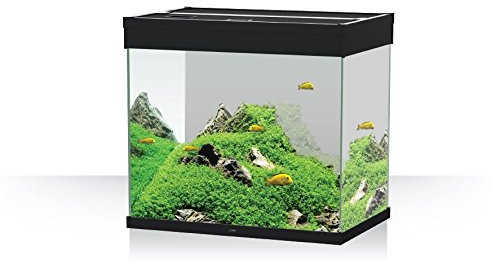 Askoll 280284 Emotion PRO LED 80 con Filtro Esterno Pratiko200, M, Bianco