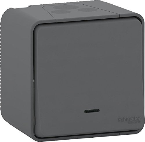 Schneider Electric MUR35024 Va et Vient mureva lumineux, 250 V, Gris