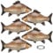 lasuroa 5stk Fisch Ballons, 84cm Niedliche Realistische Aufblasbare Fischballons mit Band Partydekorationen Thema Angeln Praktisches Zubehör für Dekoration Geburtstagsfeiern