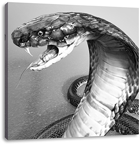 Pixxprint Nahaufnahme Einer Cobra Kunst B&W, Größe: 60x60 cm, Leinwandbild Quadratisch, Wandbild, Kunstdruck, fertig bespannt