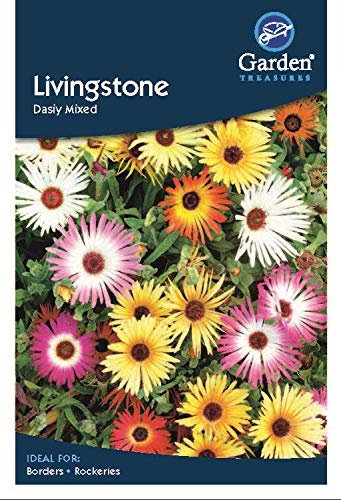 Garden Treasures Livingstone Daisy Mixed Seeds Grow Your Own Flowers