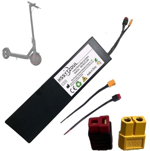 HSSYTZOUL Batterie de Scooter électrique 36V 48VBatterie Lithium-ION 12.5AH XT60 T-Plug Batteries de Remplacement pour vélos électriques et Scooters électriques,48v,12.5AH