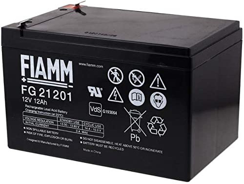 Original FIAMM Ersatzakku für Solaranlagen Hebebühnen Reinigunsmaschinen Notbeleuchtung Alarmanlage 12V 12Ah, Lead-Acid, 12V