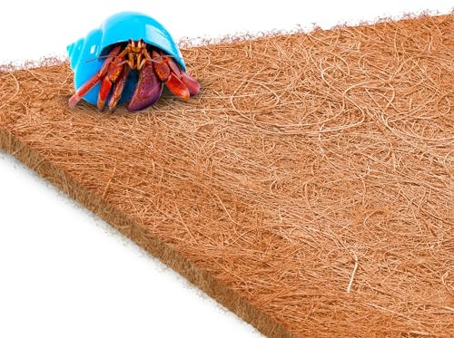SunGrow Kokosfaser-Teppich für Einsiedlerkrebse und Reptilien, Gecko-Terrariumeinlage und Bodenbelag, Bodenbelag, Kletterwandteppich und Matte für Einsiedlerkrebse, 25,4 x 33 cm, 1 Stück pro Packung