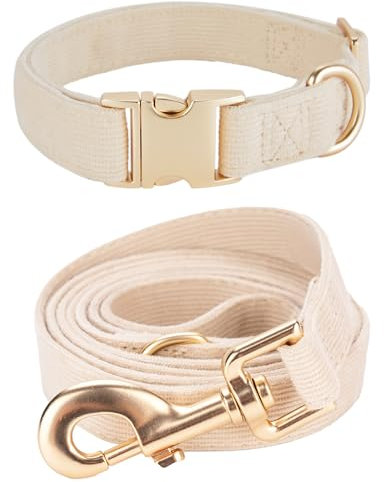 YUDOTE Hundehalsband und Leine Set Mittel, Weiche Reizfreie Cord-Halsband-Leine Passende Combo für Den Täglichen Spaziergang, Cremeweiß