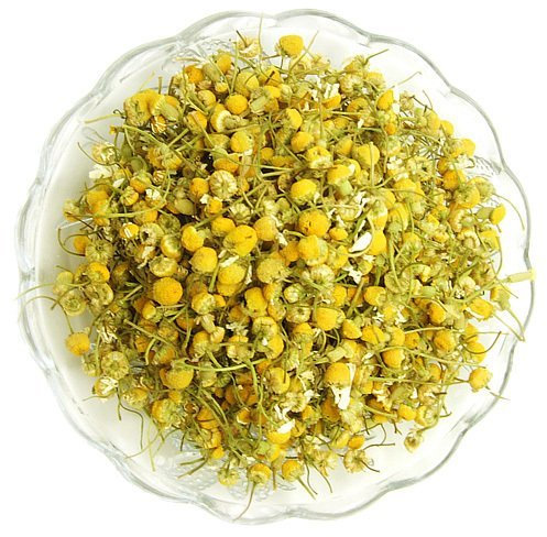 NON OGM Camomilla Romana 500 semi