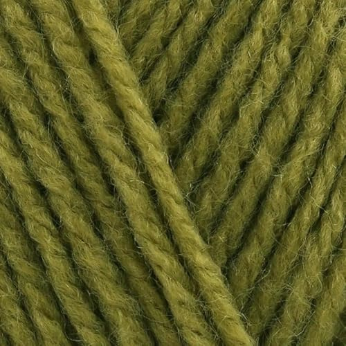 Stylecraft Special DK 100g (Mistletoe 2180)