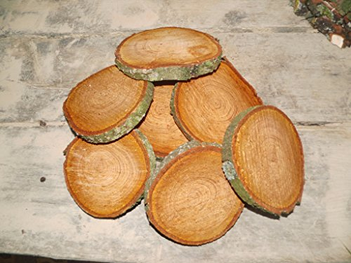 KJR Holzmanufaktur 10 Baumscheibe, Holzscheibe, ca. 20x3 cm, basteln, Holz, Erle