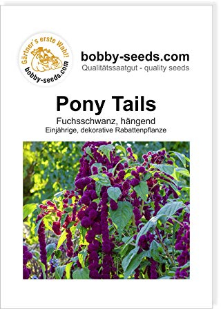 Blumensamen Pony Tails, Amaranthus Portion