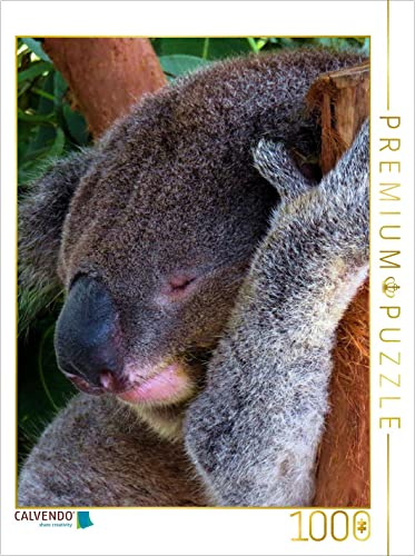 CALVENDO Puzzle Niedlicher schlafender Koala 1000 Teile Puzzle hoch | Lege-Größe cm Foto-Puzzle für glückliche Stunden
