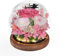 Konservierte Rosen Ewige Rose im Glas mit Licht, Infinity Blumen als Geschenke für Frauen Mama Oma Freundin zum Valentinstag Muttertag Geburtstag Jahrestag Thanksgiving Hauptdekor Weihnachten, rosa