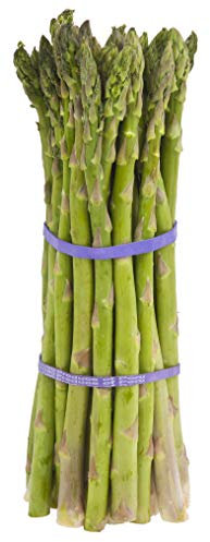 Grüner Spargel (Asparagus officinalis >Mary Washington<) 500 Samen