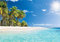 WallArena - Vlies Fototapete Strand Meer Palmen Karibik Ozean Tropical 520x318 cm - Fototapeten - Tapeten - für Wohnzimmer Schlafzimmer - Vliestapete Wandtapete Tapete 3D Effekt- inkl. Kleister