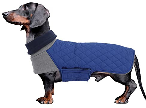 Geyecete Hundemantel Dackel, Dackel Wintermantel, Warmer Quilten Dackelmantel mit Geschirr Loch,Winddicht Rollkragen Hundejacken, Miniatur Dachshund Weste für kleine Hunde-Blau-M