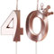 Yiran Rose Gold 40th Birthday Candles with Crown Decor, 3D Number 40 Candle, 40th Birthday Candle for Cake, Happy Birthday Candle, Cake Candles Cake Topper Decorations for Women Girls Birthday Party
