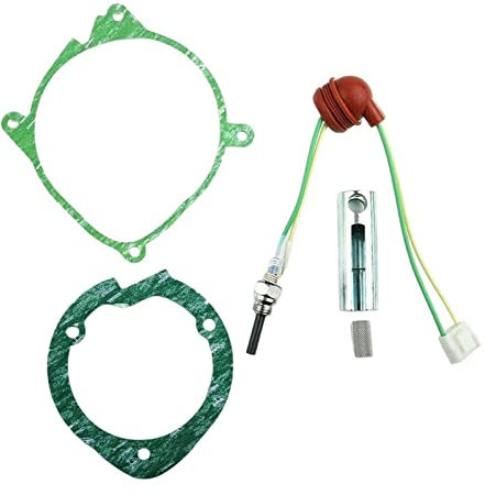 LAZIRO Cassereaux de Moteur de Chauffage de Voiture. 2V / 24V Bouchon Lueur for 2-5KW Chauffage de Camion Autonome Ajustement similaire for Webasto Fit for EBerspacher (Color : 24V 5KW)