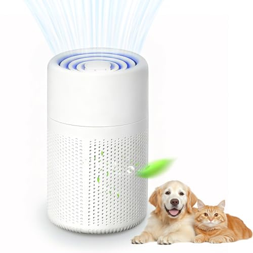 Air Purifier for Bedroom,H13 HEPA Filter for Allergies,Dust,Pet Dander,Odor & Smoke,Air Frenshener, Quiet 37dB Sleep Mode,Mini Air Cleaner for Home,Office & Desktop