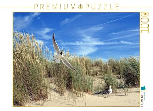 CALVENDO Puzzle Möwen und Seeschwalbe in Einer Düne | 1000 Teile Lege-Größe 64 x 48 cm Foto-Puzzle für glückliche Stunden