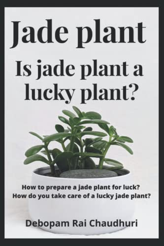 Jade plant : Is jade plant a lucky plant?: How to prepare a jade plant for luck? How do you take care of a lucky jade plant?