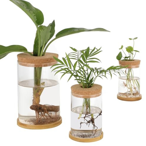 Lot de 3 pots de fleurs en verre avec base en bambou, vases hydroponiques avec couvercles, stations de plantation d'intérieur pour la maison ou le bureau