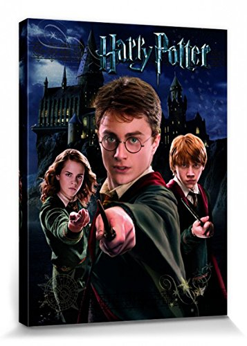 Harry Potter 1art1 Poster Harry Ron Hermine Bilder Leinwand-Bild Auf Keilrahmen | XXL-Wandbild Poster Kunstdruck Als Leinwandbild 40x30 cm