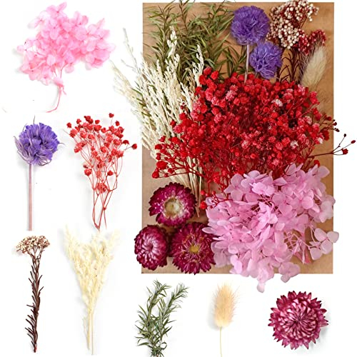 Natürliche Getrocknete Blumen, Trockenblumen Set, Natürliche Gemischte Getrocknete Blätte Dekoration für DIY Gepresste Blumen, Scrapbooking, DIY-Kerze, Schmuckanhänger Basteln (#3)
